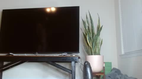 bambirachel1 online show from 06-22-26, 11:02