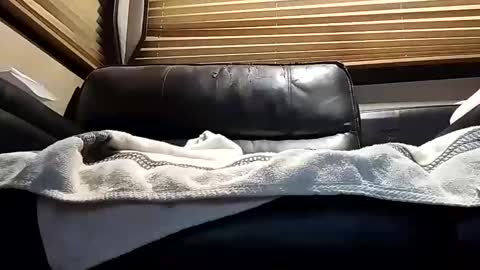 baobabtree8 online show from 10-04-25, 12:14