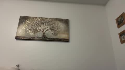 Snapshot of baristachicka28 chatting on 12-28-24, 12:26 chicka online show from 12-28-24, 12:26