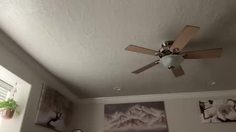 chicka online show from 03-10-26, 11:10