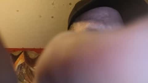 Snapshot of barniemay1 chatting on 06-28-26, 12:33 barniemay1 online show from 06-28-26, 12:33