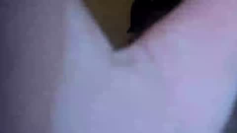 Snapshot of barniemay1 chatting on 07-05-26, 04:41 barniemay1 online show from 07-05-26, 04:41