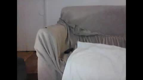 Snapshot of barrysand chatting on 02-06-25, 07:45 barrysand online show from 02-06-25, 07:45