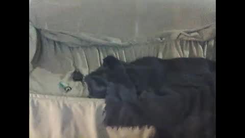 Snapshot of barrysand chatting on 09-23-25, 02:14 barrysand online show from 09-23-25, 02:14