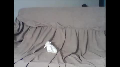 Snapshot of barrysand chatting on 11-11-25, 04:12 barrysand online show from 11-11-25, 04:12