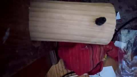 Snapshot of bartender3127 chatting on 12-06-24, 03:33 bartender3127 online show from 12-06-24, 03:33