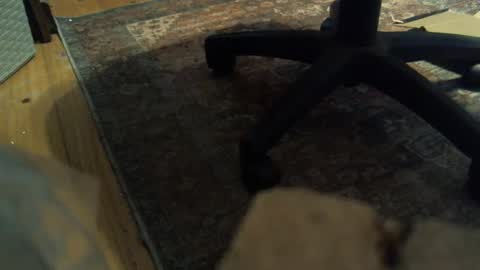 Snapshot of bartender3127 chatting on 01-16-25, 04:18 bartender3127 online show from 01-16-25, 04:18