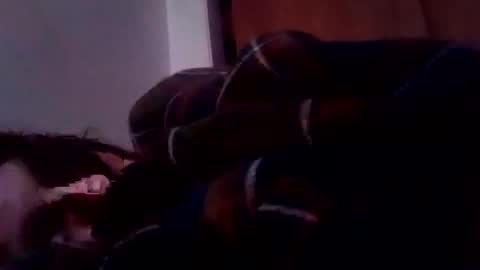 bathingcat online show from 01-19-25, 06:10