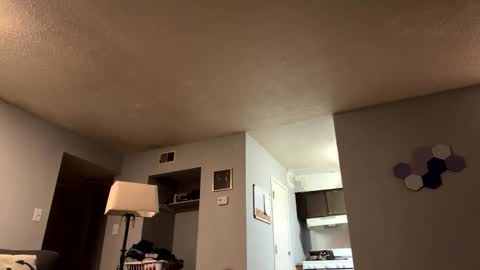 battlewolfxx online show from 04-05-26, 10:34