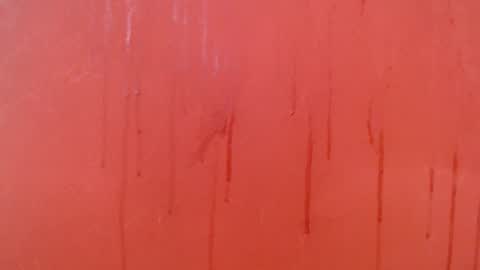 bayonette_black online show from 11-28-25, 07:16