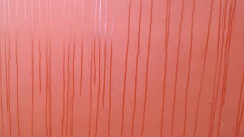 bayonette_black online show from 12-01-25, 07:08