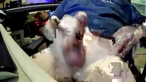 bb5199bb online show from 12-27-24, 01:00