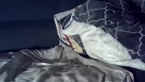 bbc_highness online show from 03-29-26, 08:14