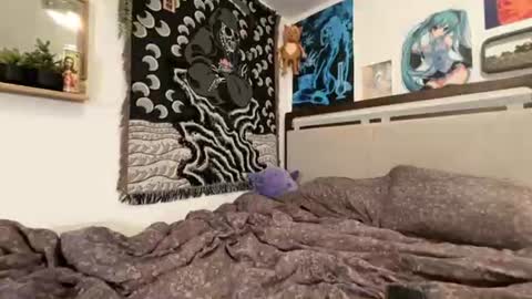 bbychrisdaboss online show from 08-07-26, 03:08