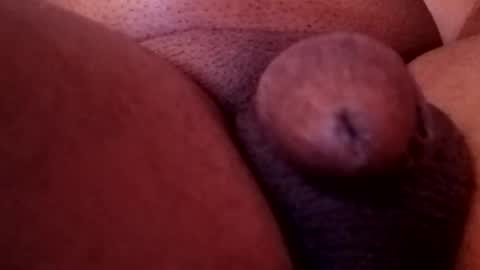 Snapshot of bcfalcon69 chatting on 02-13-26, 05:36 bcfalcon69 online show from 02-13-26, 05:36