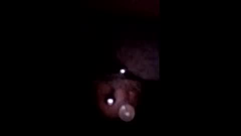 bcfalcon69 online show from 05-12-26, 05:48