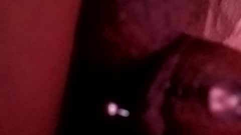 bcfalcon69 online show from 05-26-26, 06:20