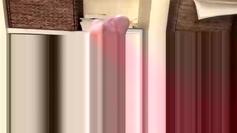 Snapshot of beachguy469 chatting on 11-18-25, 04:44 BeachGuy online show from 11-18-25, 04:44