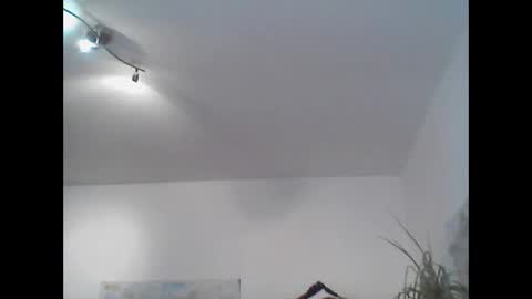 bear14250949 online show from 11-02-25, 11:45