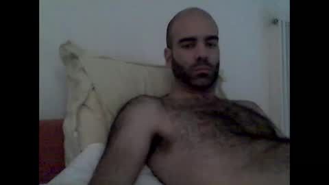 bear14250949 online show from 11-16-25, 11:38