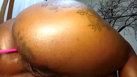 Snapshot of beencee2 chatting on 12-21-24, 02:52 beencee2 online show from 12-21-24, 02:52