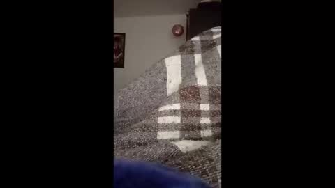 Snapshot of belcebu472402 chatting on 11-02-25, 02:41 belcebu472402 online show from 11-02-25, 02:41