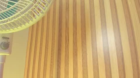 Melanie  online show from 02-13-26, 10:33