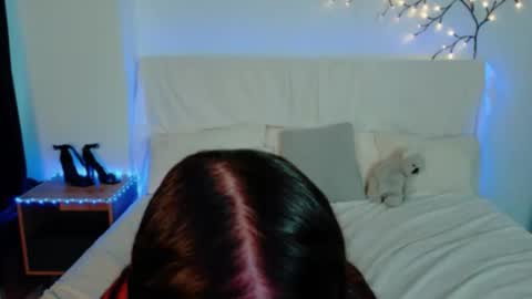 bella_davis_love online show from 11-26-25, 11:39