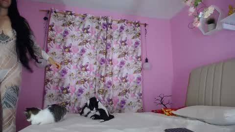 bella_gentle online show from 12-20-24, 11:43