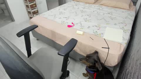 Bella  Angelycal online show from 02-20-25, 10:26