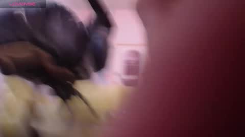 Bella online show from 03-28-26, 01:00