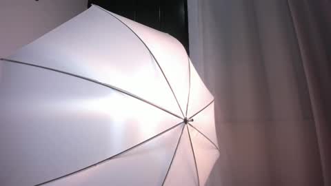 Bella Wild online show from 02-12-26, 12:00