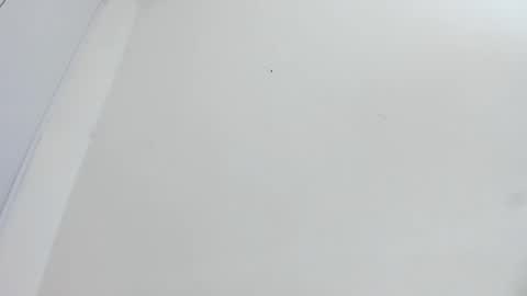 Bellota Flak online show from 12-15-25, 05:55