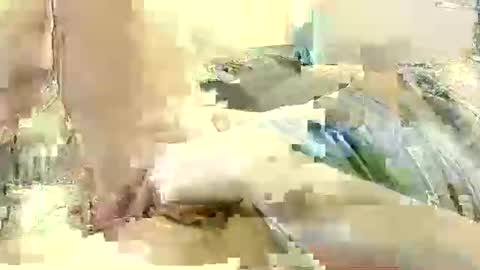 Snapshot of benutzmich0800 chatting on 12-08-24, 11:19 Benutzmich0800 online show from 12-08-24, 11:19