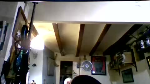 Snapshot of bernichaos77 chatting on 03-17-26, 02:16 bernichaos77 online show from 03-17-26, 02:16