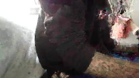 Snapshot of bertdollaz757 chatting on 11-04-25, 03:55 ToxicPipe757 online show from 11-04-25, 03:55