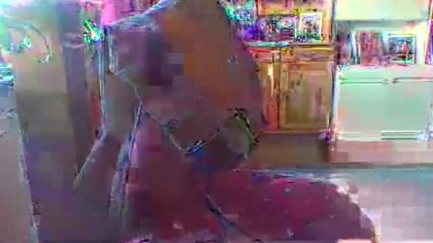 Snapshot of bestmann979994 chatting on 03-01-26, 04:20 bestmann979994 online show from 03-01-26, 04:20