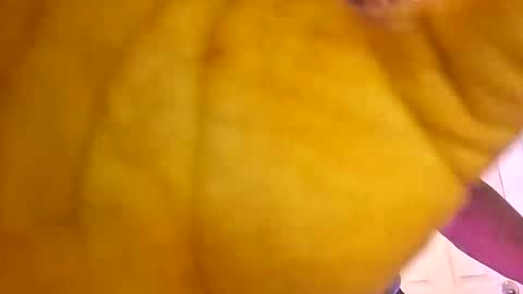 bestwithwords online show from 06-07-26, 10:57
