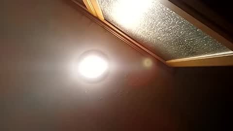 bgiamba21 online show from 10-29-25, 11:50