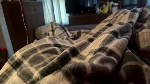 bi_guy_1993 online show from 02-25-25, 08:51