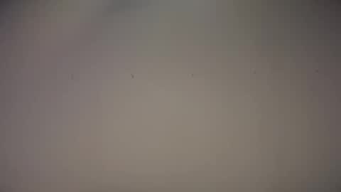 Biff Beaverhousen online show from 11-01-25, 11:34