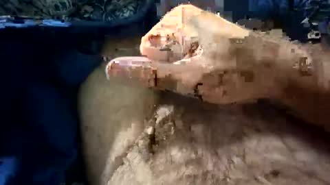 big88385909 online show from 10-21-25, 12:11