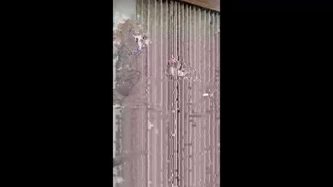 big_dick_10_inch online show from 02-01-26, 02:26