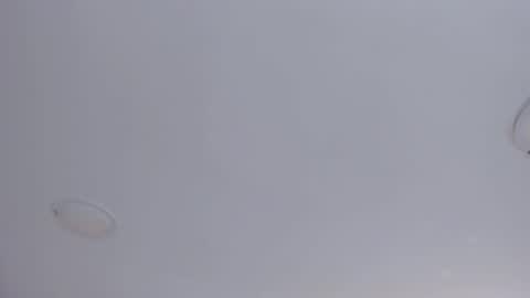   online show from 10-08-25, 09:07