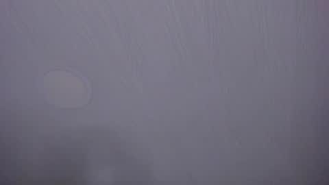   online show from 04-07-26, 10:05