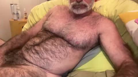 big bush online show from 07-11-26, 08:39