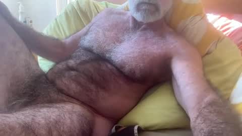big bush online show from 07-28-26, 03:13