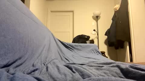 Snapshot of bigbuster685 chatting on 11-19-25, 07:08 Buster685 online show from 11-19-25, 07:08