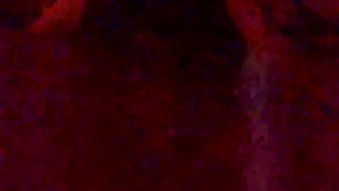 Snapshot of bigcawkdaddii chatting on 02-07-26, 03:10 Hunny online show from 02-07-26, 03:10