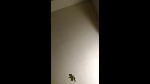 bigchorizo18 online show from 04-02-26, 05:16